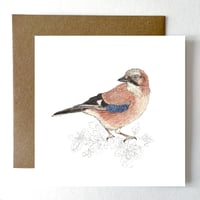 Image 1 of JAY CARD