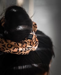 Image 1 of GRR BUN (max)