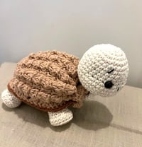 Image 1 of Rita the Turtle