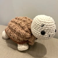 Image 2 of Rita the Turtle