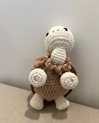 Image 3 of Rita the Turtle