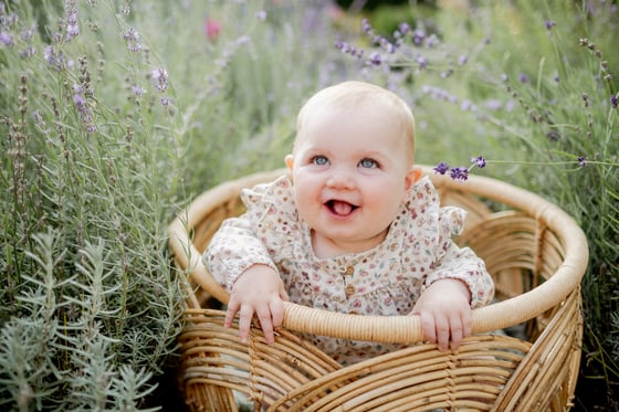 Image of Summer Minis - July 11th 2025 (McFarland WI)