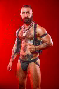 Image 2 of Utility Harness 