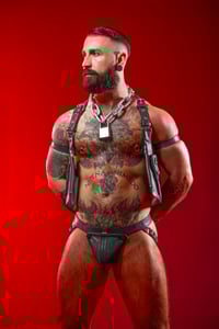 Image 4 of Utility Harness 