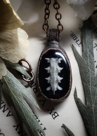 Image 1 of Snake Vertebrae Pendant