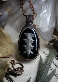 Image 5 of Snake Vertebrae Pendant