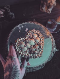 Image 1 of Shells and bones box 