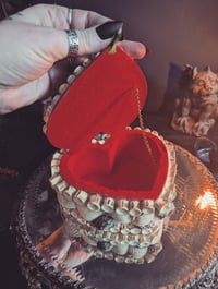 Image 3 of Shells and bones box 