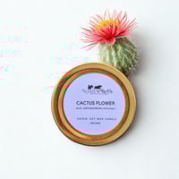 Image 1 of Travel Candles (20+hour burn time)