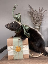 Image 1 of Skunk Soft Mount