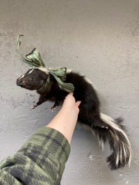 Image 2 of Skunk Soft Mount