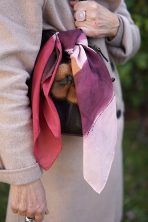 Image of Foulard n.425