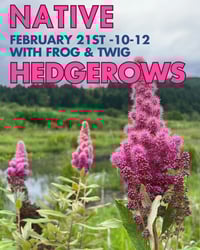 Image 1 of Native Hedgerow Class w/ Frog & Twig
