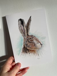 A5 Greetings Card ‘Summer Hare’
