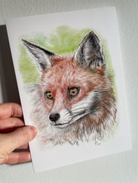 A5 Greetings Card ‘Vixen’