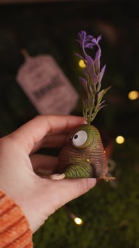 Image 4 of Mandrakes