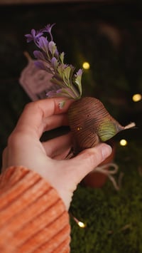 Image 5 of Mandrakes