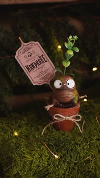 Image 3 of Mandrakes