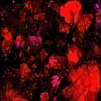 Image 2 of ORCHARD OF SORROW