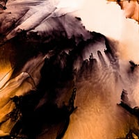 Image 2 of IN SEARCH FOR MORE