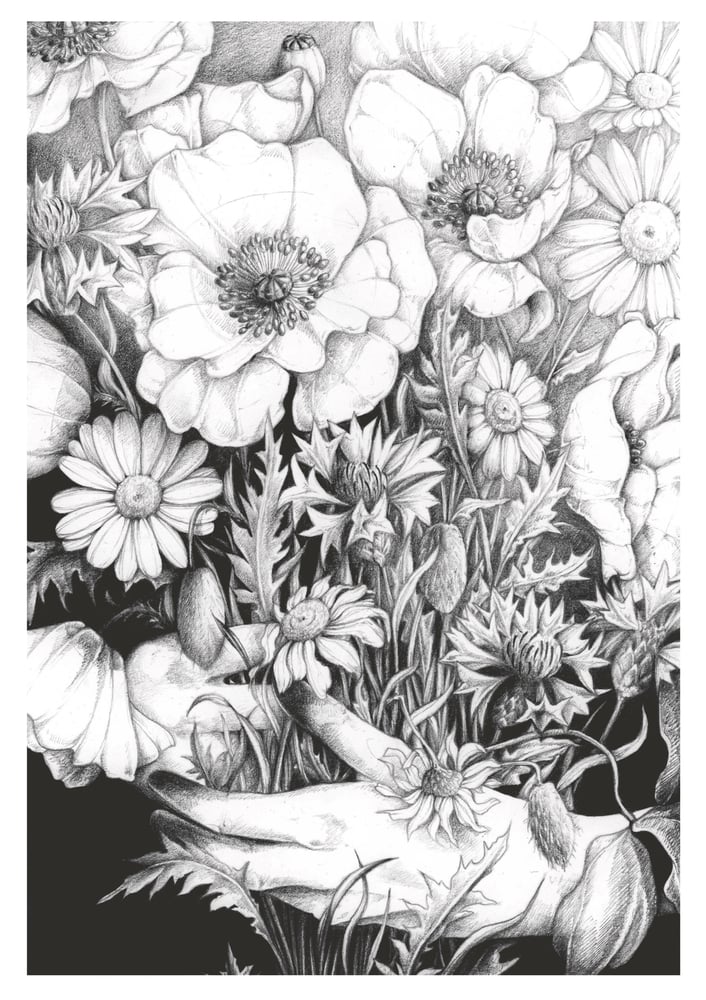 Image of Bouquet des champs