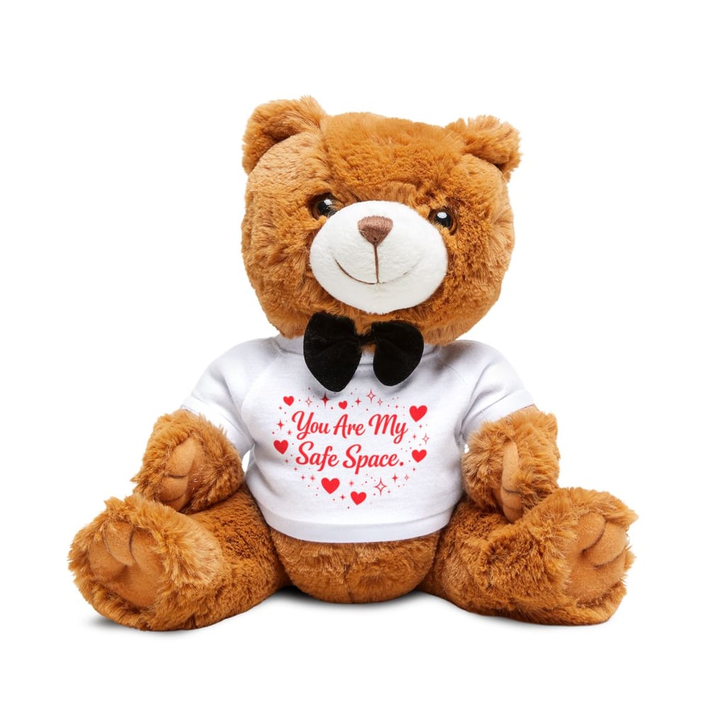 Image of You are my safe space Teddy Bear with T-Shirt-88a52ac9