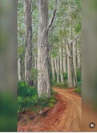 Through Tall Trees