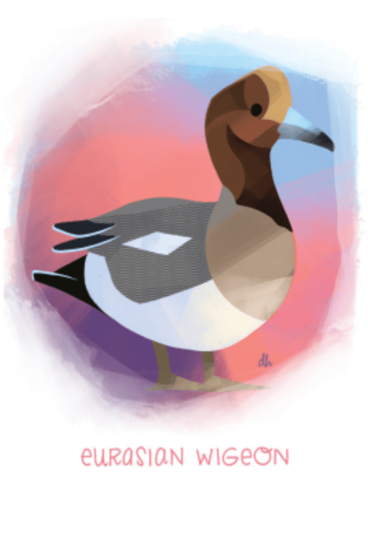 31 days of Birds! notecards & envelopes (sets & singles)