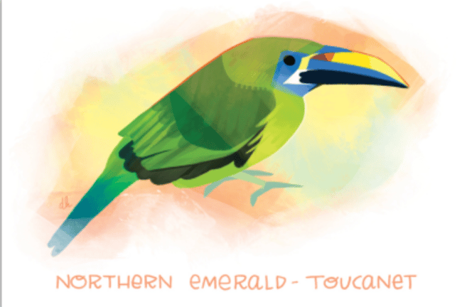 31 days of Birds! notecards & envelopes (sets & singles)