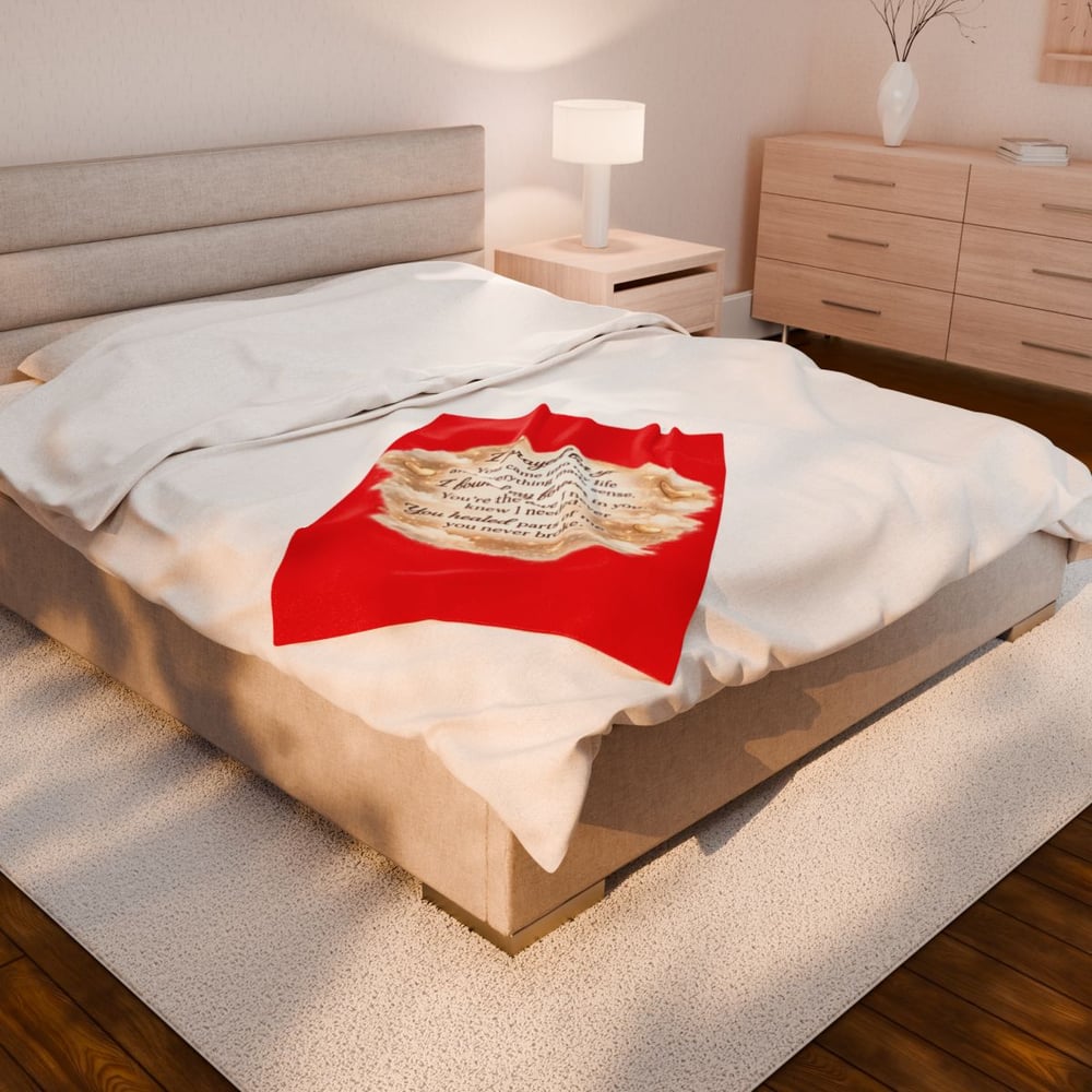 Image of Velveteen Plush Blanket