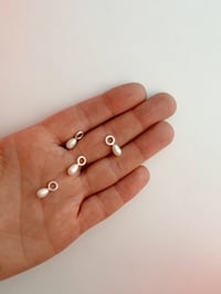 Image 4 of PERLE DI FIUME 💦