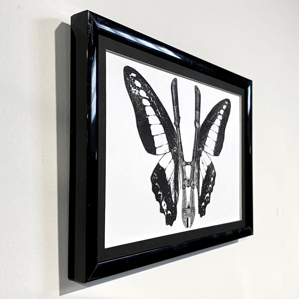 Image of 'butterfly boltcutter' original collage