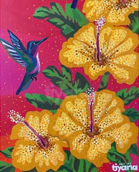 Image 3 of The Hummingbirds 