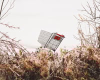 Shopping Cart on Ice / 16x20" Limited Print