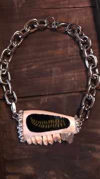 Image 1 of Sheep jaw with fern inlay statement necklace