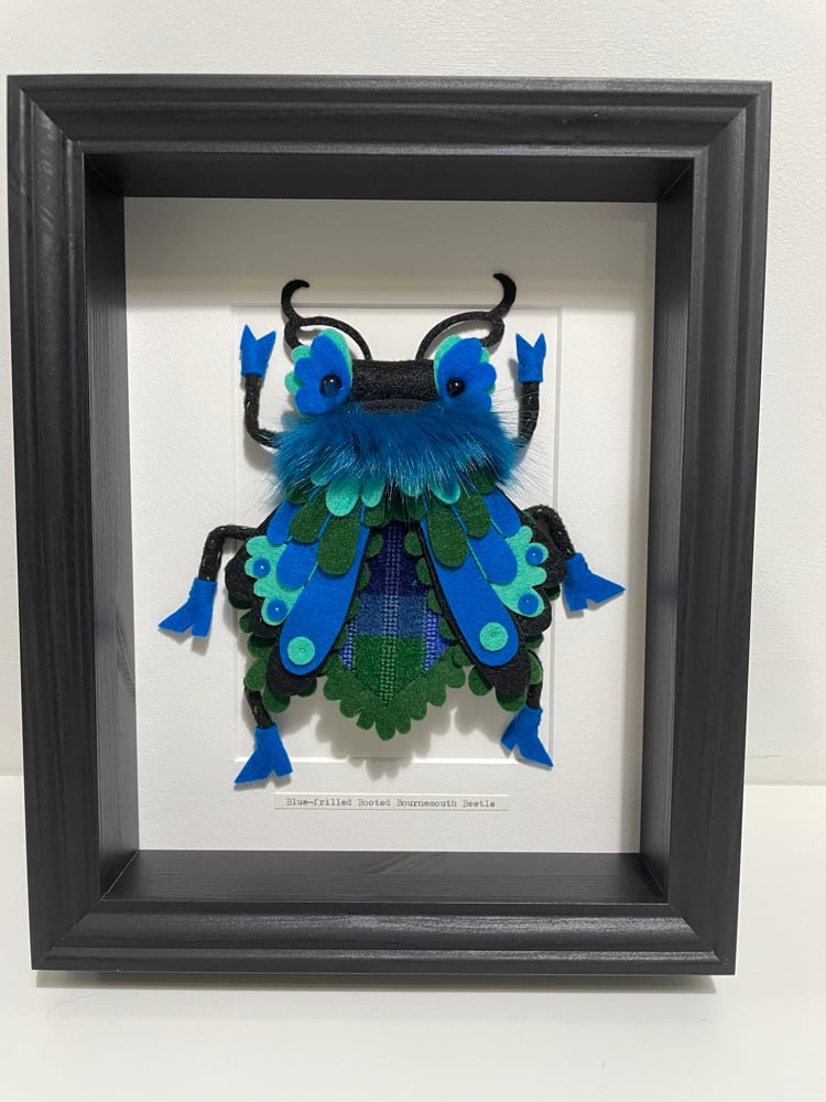 Image of Blue-frilled Booted Bournemouth Beetle