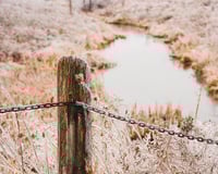 Frozen Creek / 16x20" Limited Print