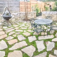 Image 5 of Bryum CaespiticiumBryum Caespiticium Sun Moss/ Live Sidewalk Moss for Bonsai/ Terrariums, Fairy Gard