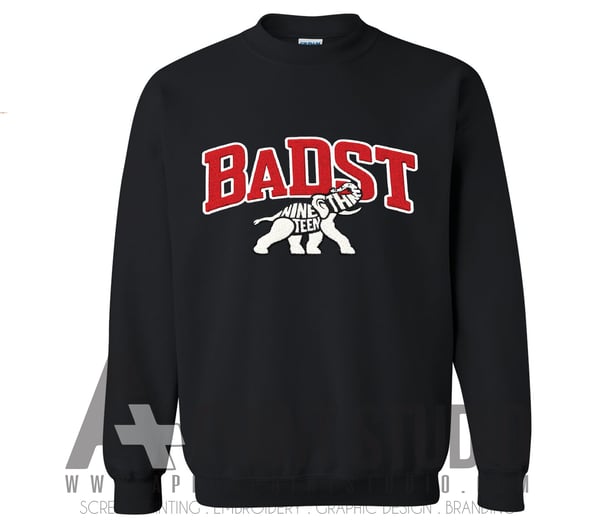Image of BaDST DriFit cotton sweatshirt