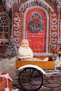 Image 3 of Milestones!!!