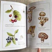 Image 2 of gathered by gabrielle cerberville