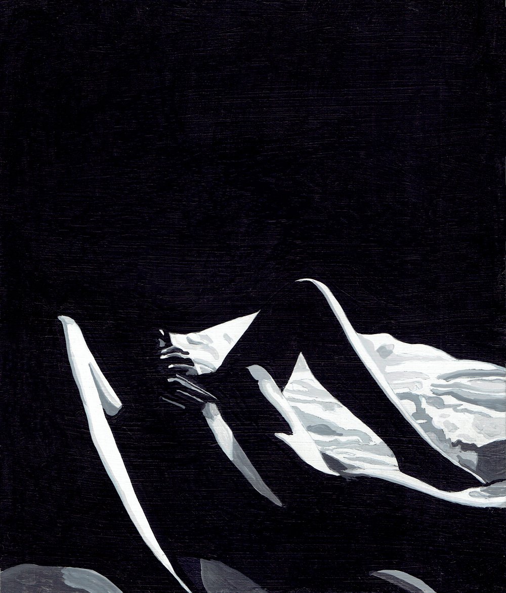 Image of SUNDAY IN BROOKLYN