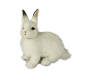 Image of Bunnies, Lambs, and Chicks