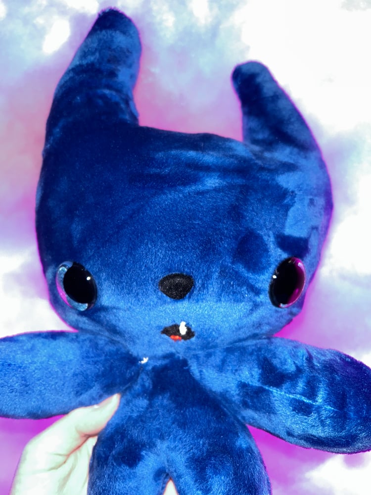 Image of Curious Gibbie