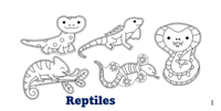 Image 25 of Animal Sets 