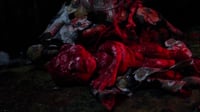 Image 3 of Tenebre's U.V.F (Blu-Ray)