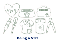 Being a Vet