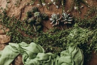 Image 4 of Set Melissa