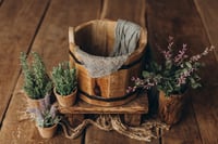 Image 1 of Garden Set 