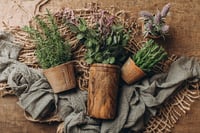 Image 2 of Garden Set 